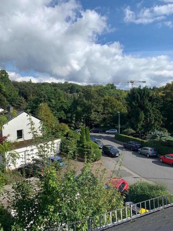 Wohnung Mit Einer Sauna Direkt Am Park Wiesbaden Exterior photo